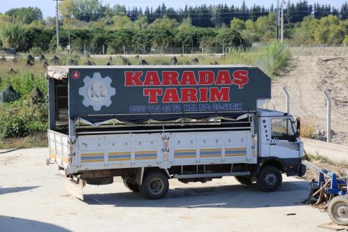 Muz Üretim ve İhracat